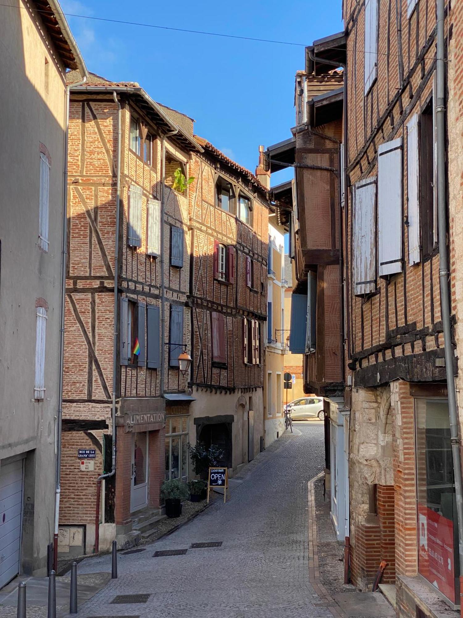 Le Patio St Etienne - Cite Episcopale - Parking Inclus Apartment Albi Luaran gambar